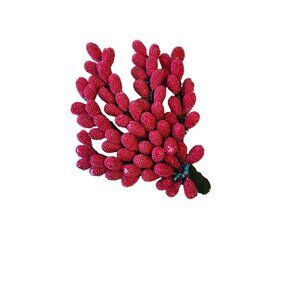 Vintage Sugared Hand Wired Berry Brooch (A1667)